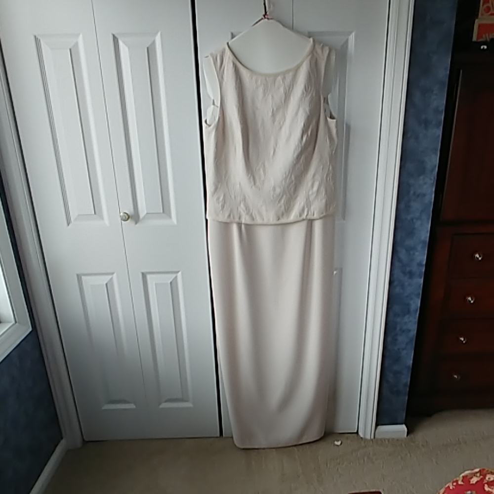 David's Bridal Evening Gown